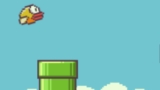 Perché Flappy Bird ha scalato così velocemente le classifiche
