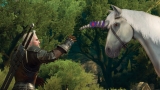The Witcher 3: confermata la Game of the Year Edition
