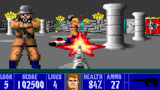 20 anniversario di Wolfenstein 3D: gratuito su web browser