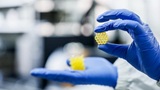 Stampa 3D senza sprechi e senza rifiuti? Ecco la resina riciclabile all'infinito