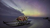 Sony World Photography Awards 2019: otto gli italiani nella shortlist 