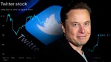 Elon Musk avverte Twitter: senza dati sui bot l'accordo pu&ograve; saltare