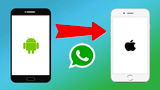 WhatsApp: finalmente si possono trasferire le chat da Android ad iOS. Come funziona
