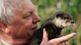 Il nuovo documentario naturalistico di David Attenborough potr essere vissuto con Oculus Rift 