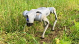 Cani robot in agricoltura: la nuova frontiera per mappare la salute del suolo