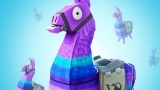 Epic citata in giudizio per Fortnite: schema 'predatorio' con i Lama di Salva il Mondo