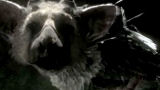 The Last Guardian sar presente all'E3 2013