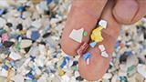 Microplastiche? Con quest'alternativa a base di alghe diventano biodegradabili