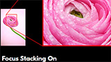 Pixel-shift e focus stacking insieme con l'aggiornamento 3.00 di Nikon Z8