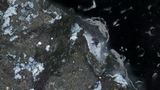 NASA OSIRIS-REx: trovati fosfati nei campioni dell'asteroide Bennu