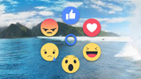 Social network: cerchiamo i like come i topi col cibo
