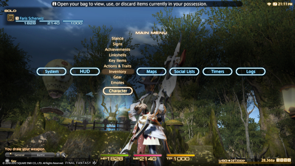 Final Fantasy XIV A Realm Reborn