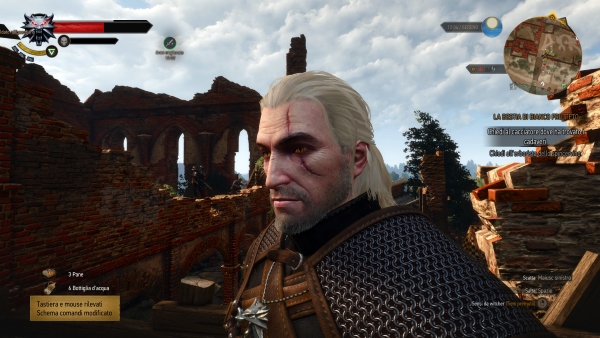 The Witcher 3 Wild Hunt